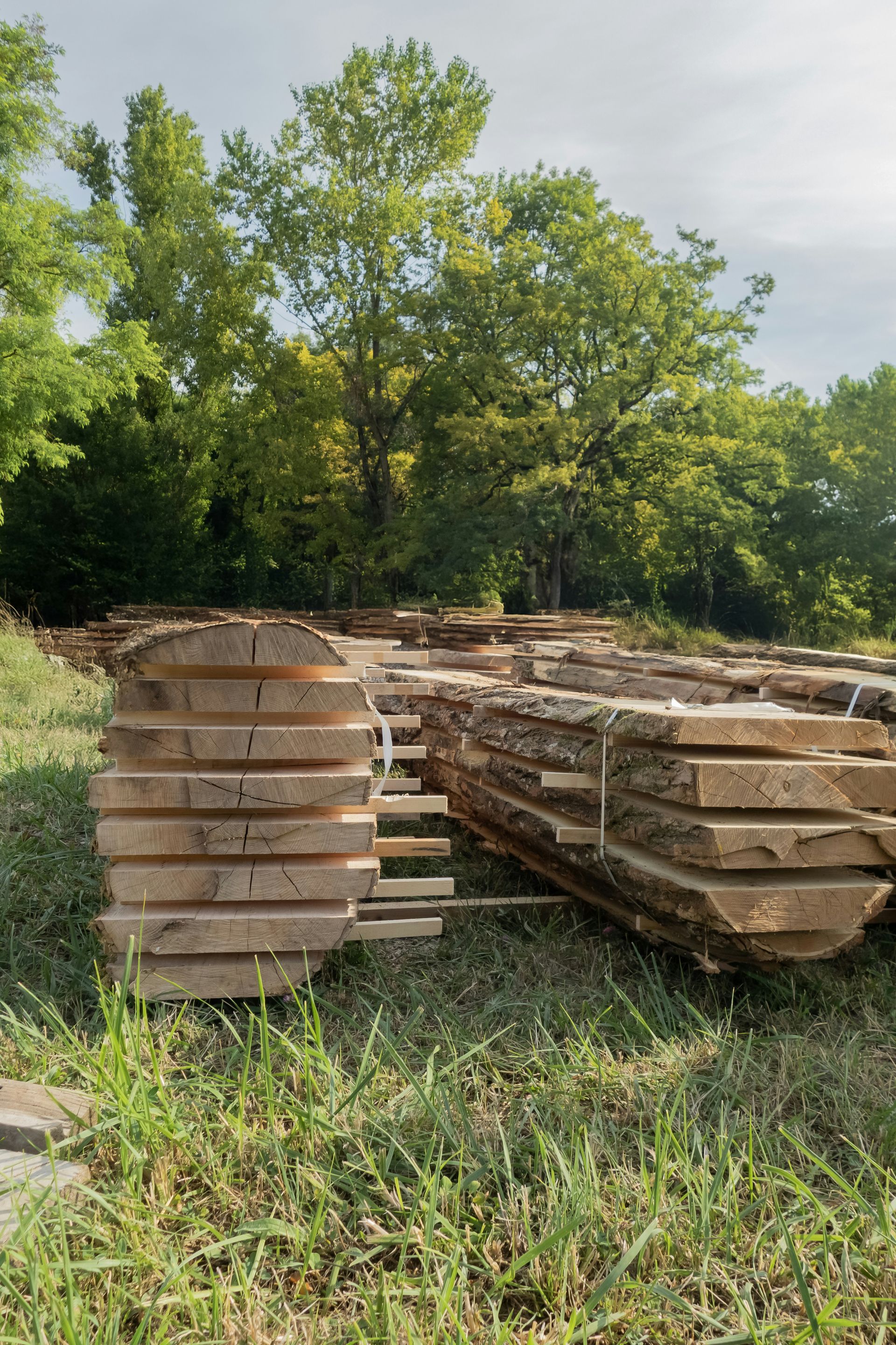 Stacks of lumber sit in a grassy field.